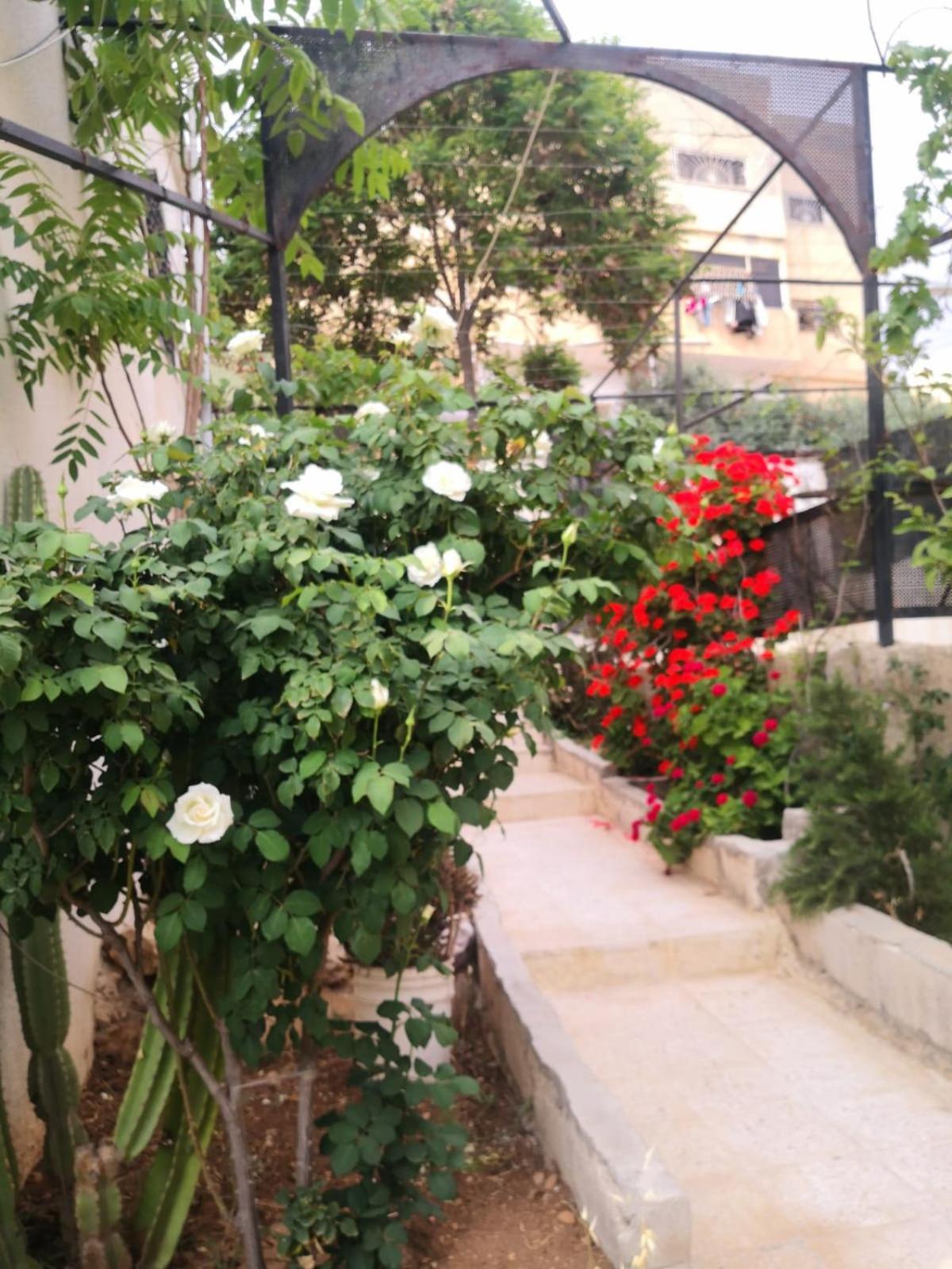 White Tulips Apartment الزنبقة البيضاء Dżarasz Zewnętrze zdjęcie